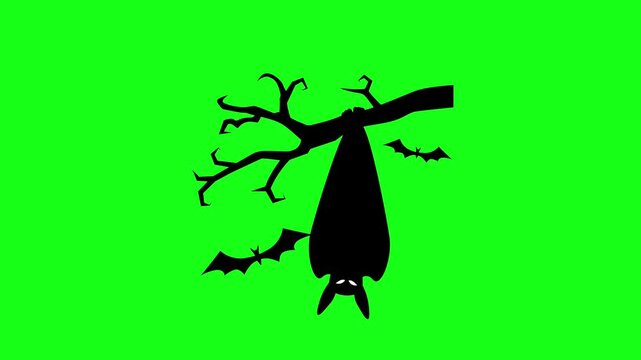 Silhouette animation of a large bat hanging upside down from a dead tree branch with smaller bats flying on a green screen background