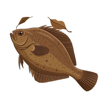 Brown Atlantic Tripletail Leaf Mimicry Floating Flat Vector