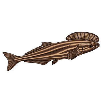 Brown Remora Suckerfish Suction Disk Marine Flat Vector