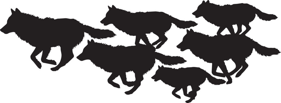 Pack of wolves, wolf silhouettes, black animal icons, wildlife graphics