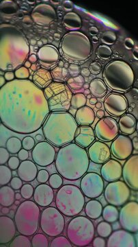 Microscopic Close Up of Vibrant Photosynthesis Process Showcasing Calvin Cycle Sugar Synthesis with Colorful Chloroplasts and Biochemical Reactions...