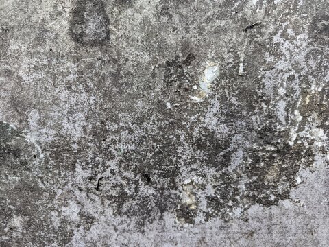 A close-up shot captures the rough, weathered texture of an old concrete wall. The surface is uneven, dark patches, mineral stains, and reflecting natural aging