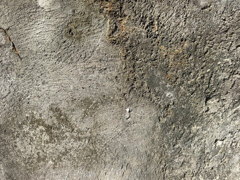 A close-up shot captures the rough, weathered texture of an old concrete wall. The surface is uneven, dark patches, mineral stains, and reflecting natural aging