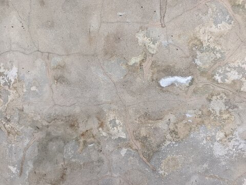 A close-up shot captures the rough, weathered texture of an old concrete wall. The surface is uneven, dark patches, mineral stains, and reflecting natural aging