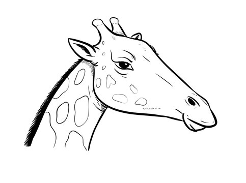 giraffe digital drawing illustration isolated