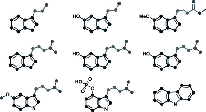 Tryptamine Alkaloid Chemical Structure Vector Set with Indole Ring Derivatives, Neurotransmitter Molecules, Psilocybin, Serotonin, and Melatonin Formulas for Pharmacology Designs