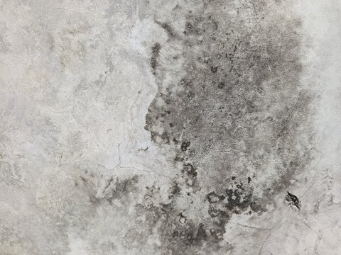 A close-up shot captures the rough, weathered texture of an old concrete wall. The surface is uneven, dark patches, mineral stains, and reflecting natural aging