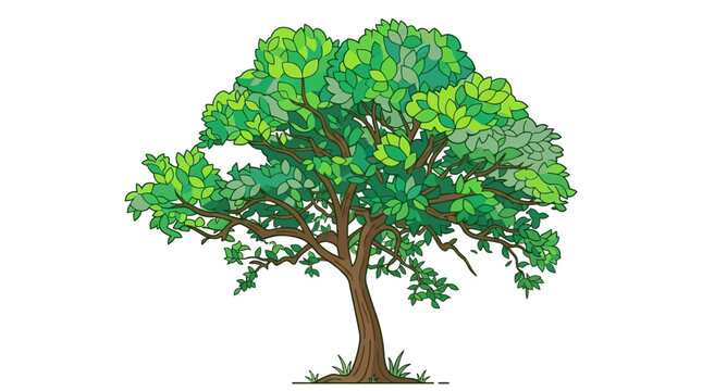 Illustration vectorielle d'un arbre &agrave; feuilles caduques avec un feuillage vert luxuriant et un tronc brun d&eacute;taill&eacute;, isol&eacute; sur un fond blanc pur pour des projets de design graphique.