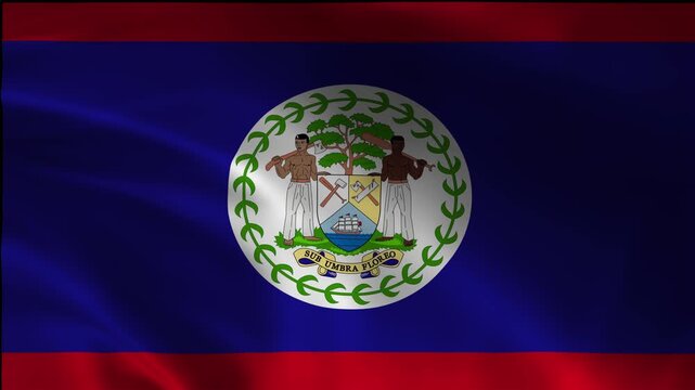 Belize Loop Emblem Waving Patriotic Animation Footage Standard Independence Wind Fabric Backdrop Flowing Render Cloth Flag