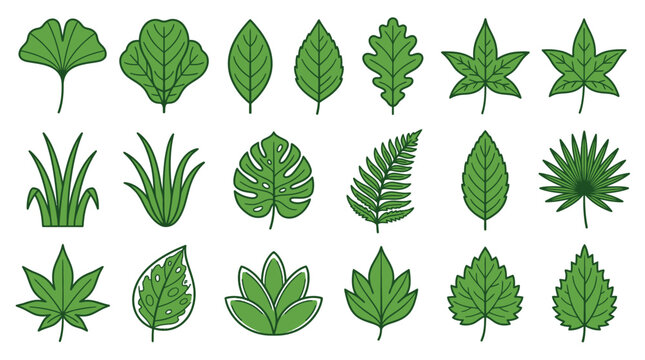 Conjunto de &iacute;cones vetoriais com diversas formas de folhas verdes e plantas tropicais isoladas em fundo branco, perfeitos para designs bot&acirc;nicos, ecol&oacute;gicos e ilustra&ccedil;&otilde;es de natureza.