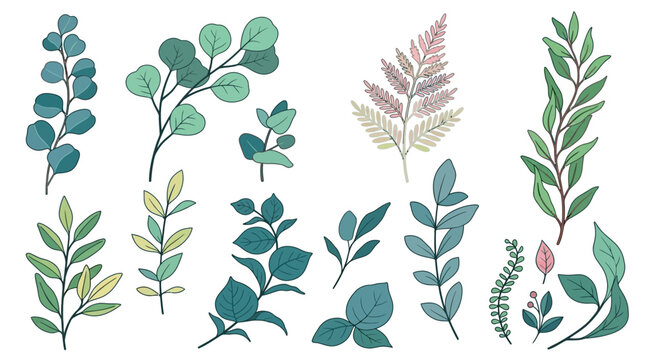 Ensemble d'illustrations vectorielles de feuilles et de branches botaniques dessin&eacute;es &agrave; la main avec un style &eacute;l&eacute;gant et minimaliste sur fond blanc
