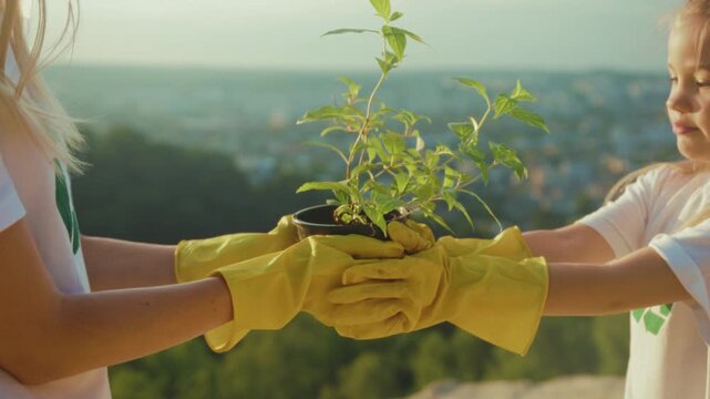 Child with gloves offers young tree in cityscape, Brightly lit scene of child planting tree for reforestation