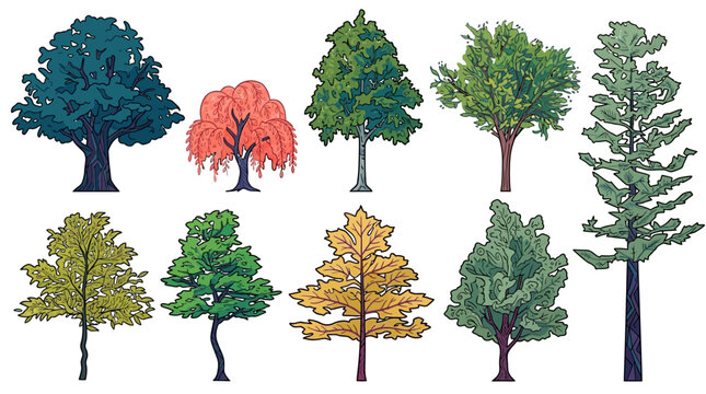 Conjunto de ilustra&ccedil;&otilde;es vetoriais de &aacute;rvores diversas com diferentes formas de copas, texturas de folhagem e cores sazonais isoladas em um fundo branco limpo para design gr&aacute;fico