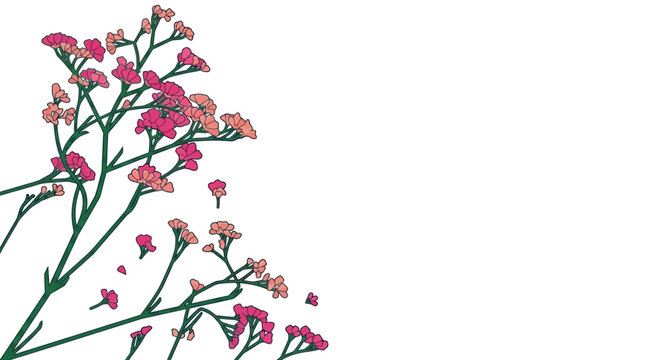 Illustration vectorielle d&eacute;licate de petites fleurs roses et corail sur une tige verte isol&eacute;e sur un fond blanc pur avec un large espace de copie pour le design.