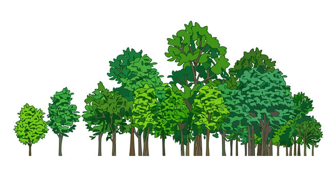 Ilustraci&oacute;n vectorial de un grupo de &aacute;rboles verdes con diferentes formas y tama&ntilde;os sobre un fondo blanco, ideal para dise&ntilde;os de paisajes, arquitectura y proyectos de ecolog&iacute;a.