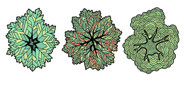 Set di tre illustrazioni vettoriali stilizzate di alberi visti dall'alto con motivi decorativi geometrici e organici in tonalit&agrave; verdi su sfondo bianco isolato