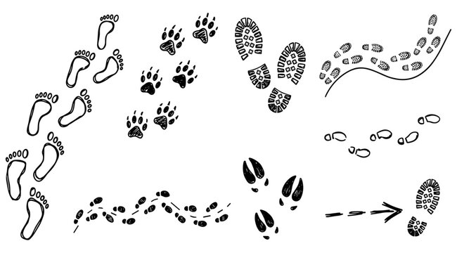 Variety of animal and human footprints black and white illustration