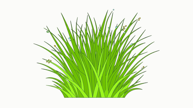 Ilustraci&oacute;n vectorial de un grupo de hierba verde fresca y natural aislada sobre un fondo blanco, ideal para dise&ntilde;os de jardiner&iacute;a, ecolog&iacute;a y proyectos de naturaleza.