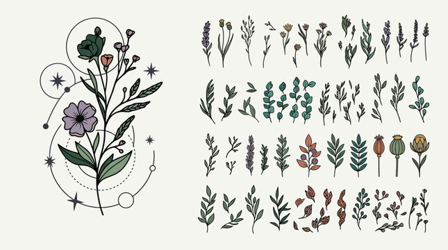 Ein Set aus handgezeichneten botanischen Illustrationen mit floralen Elementen, Wildblumen, Zweigen und mystischen geometrischen Sternsymbolen im minimalistischen Linienkunst-Stil.