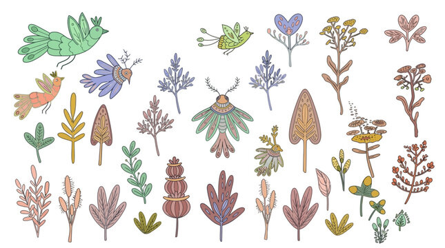Conjunto de ilustra&ccedil;&otilde;es desenhadas &agrave; m&atilde;o com p&aacute;ssaros estilizados, mariposas, plantas ex&oacute;ticas e elementos bot&acirc;nicos coloridos em um estilo art&iacute;stico e decorativo sobre fundo branco.