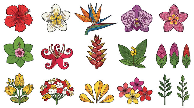 Set di icone vettoriali disegnate a mano raffiguranti una collezione di fiori tropicali esotici, piante e foglie verdi isolati su uno sfondo bianco per design floreale