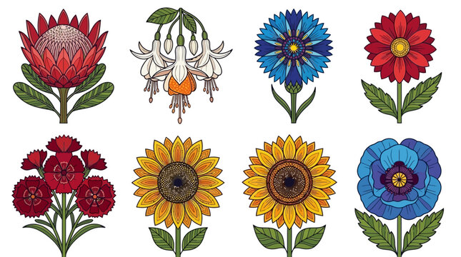 Zestaw kolorowych ilustracji kwiat&oacute;w w stylu retro, zawierający proteę, fuksję, chaber, słoneczniki, goździki oraz niebieskie maki wyizolowane na białym tle do projekt&oacute;w graficznych.