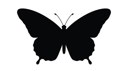 Black Butterfly Silhouette Against A White Background Silhouette © Md