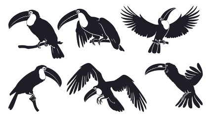 Naklejka premium Toucan bird silhouette set, tropical exotic bird collection in black and white, 6 vector bird icons for nature and wildlife branding