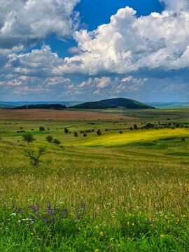 Beautiful natural scenic background with green grass fields, forest hills and mountains in the distance under a bright blue sky with white cumulus clouds on a summer day. Petresti, Cluj, Romania