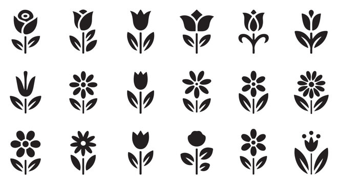 Floral graphic design elements with tulips and various flower shapes.