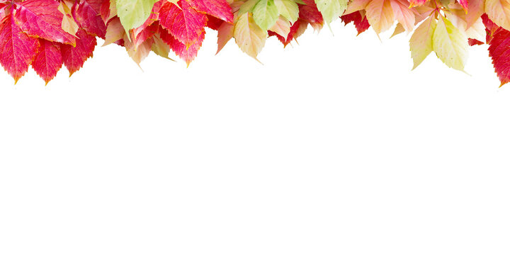 Autumn leaves top border frame isolated on black background.