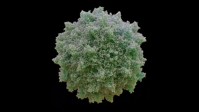 3D Scientifically Accurate AAV3 Adeno-Associated Virus serotype 3 capsid 60-mer Icosahedral Replication-defective and Non-pathogenic Primarily Human Liver Hepatocyte Cancer cell Gene Delivery.