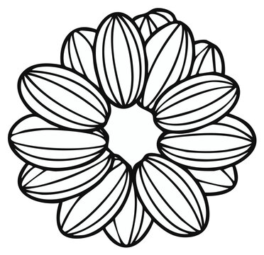 Stylized Outline Flower Mandala with Repeating Petals and Geometric Center