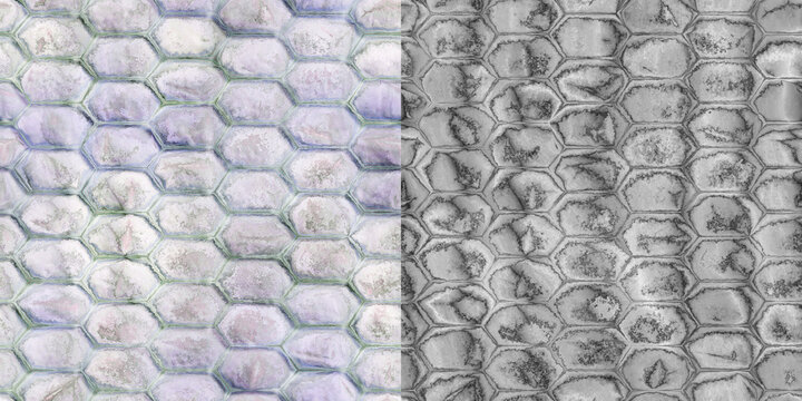 Pale Reptile Texture and Displacement Map Comparison