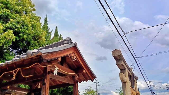 青空と新緑に映える神社の手水舎と鳥居