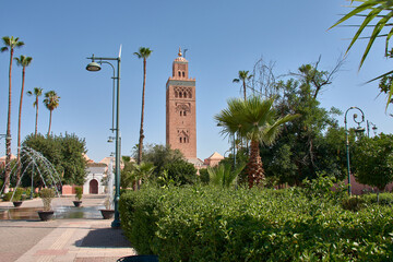 Obraz premium The ancient minaret of the Koutoubia Mosque rises majestically above the urban gardens of Marrakech.