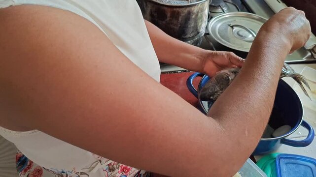 Woman hands applying sea salt to season a raw tilapia fish