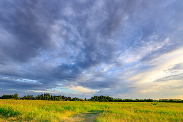 Fototapeta premium Lush green field under a vast, cloudy sky