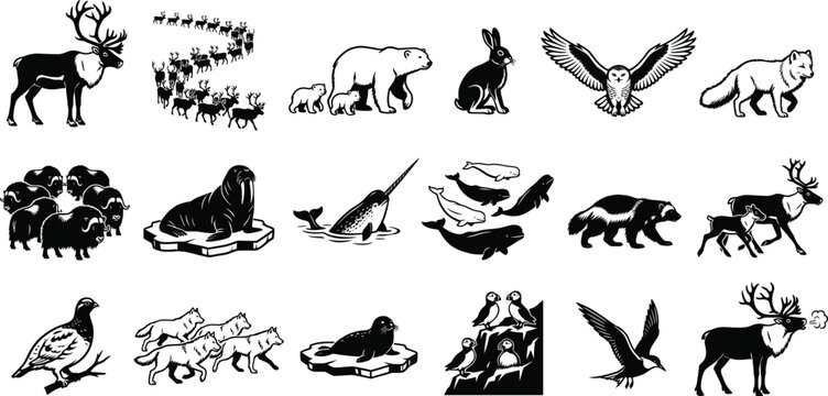 Arctic animals silhouettes set with reindeer polar bear walrus musk ox puffin arctic fox narwhal wolf and snowy owl vectors for winter nature design
