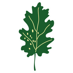 Fototapeta premium Dark Green Oak Leaf Forest Foliage Illustration