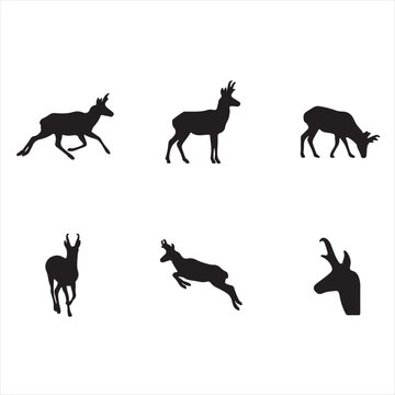 Black silhouettes of chamois in different poses and actions Vector