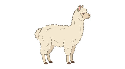 An alpaca stands alone in a plain environment, captured in a digital illustration. © sajjadhossain