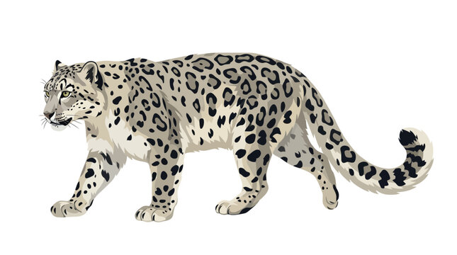 A stunning illustration of a snow leopard walking in a natural landscape environment.