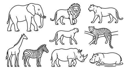 African Safari Animals Line Art, Minimalist Wildlife Vector Set, 9 Wild Animal Outline Icons © usmi
