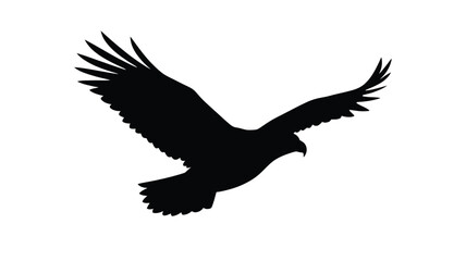 Fototapeta premium Soaring eagle silhouette against a white background silhouette