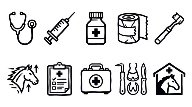 Horse Vaccination and Veterinary Treatment Outline Icon Collection