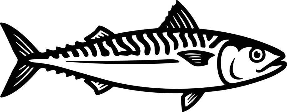 Freshwater perch silhouette profile on dark background.