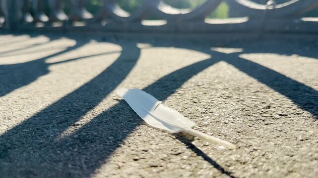 A white feather rests silently on a sunny stone path under fence shadows in Simferopol, Crimea. The lonely scene brings a deeply peaceful and serene feeling.