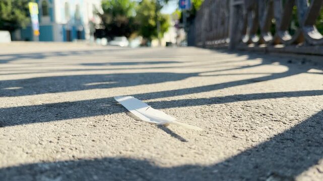 A white feather rests on a sunny sidewalk under long shadows in Simferopol, Crimea. This delicate object brings a peaceful, lonely, and gentle feeling to the street.