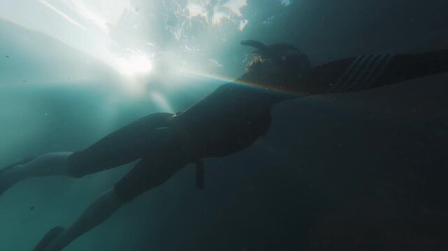 Underwater view of the hunter swimming slowly with speargun